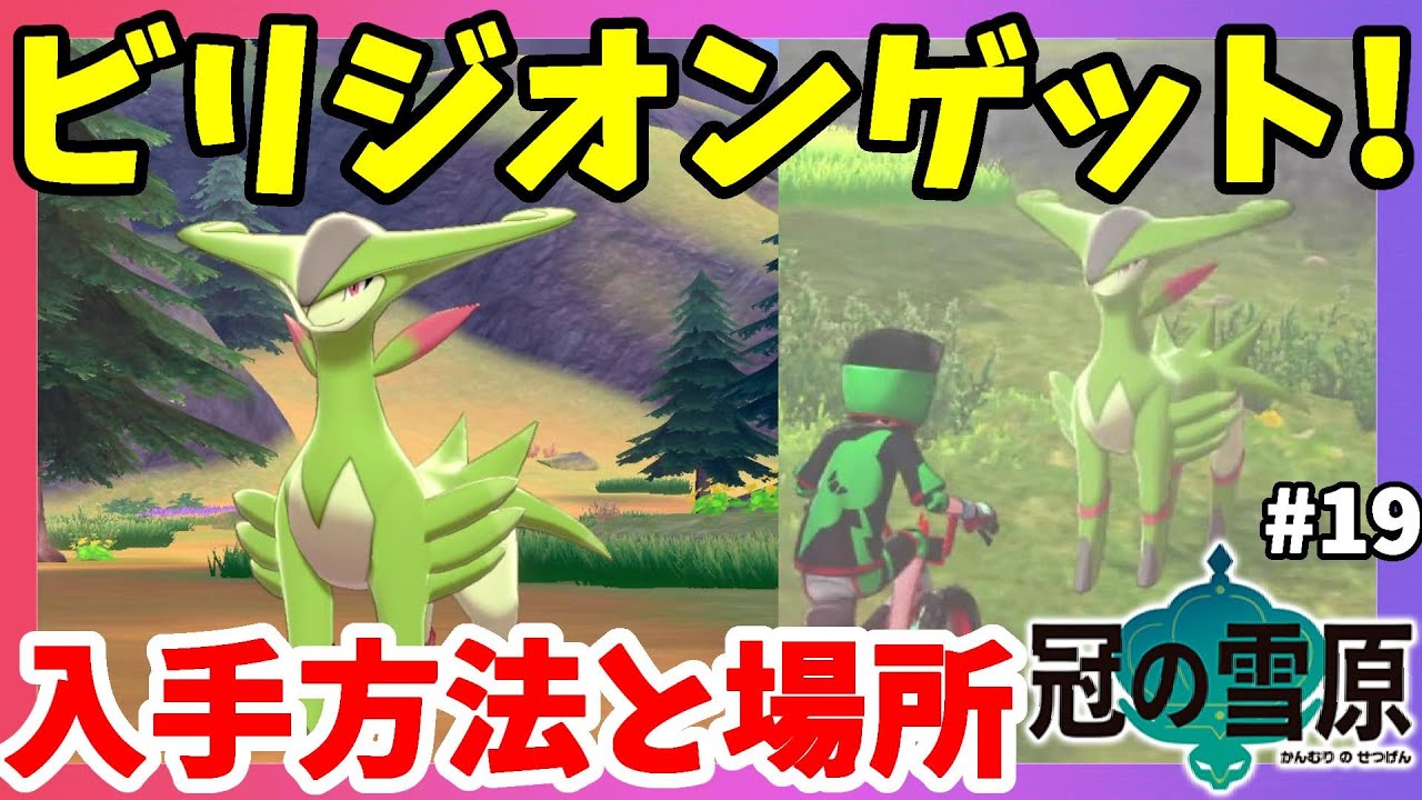 【ポケモンソードシールド】ビリジオンゲット!入手方法と場所！伝説ポケモンの話が聞ける！？#19【エキスパンションパス】