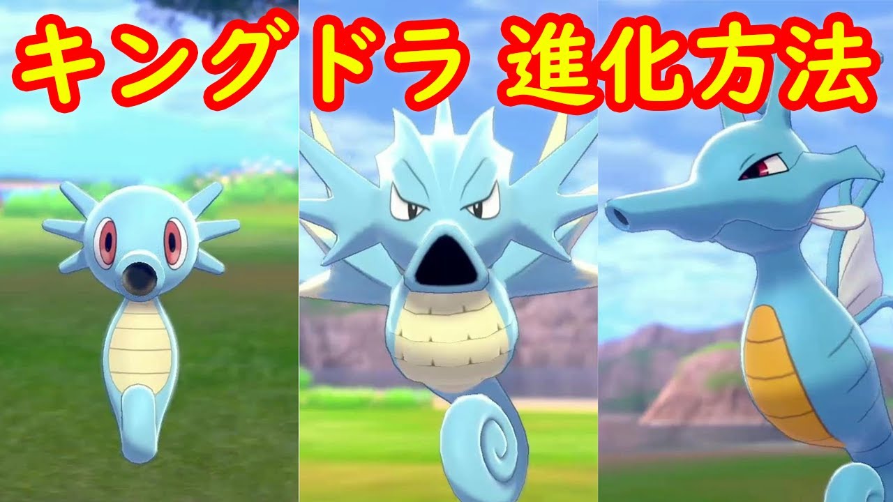 【シードラ → キングドラ】進化方法 攻略【鎧の孤島 ポケモン剣盾DLC】