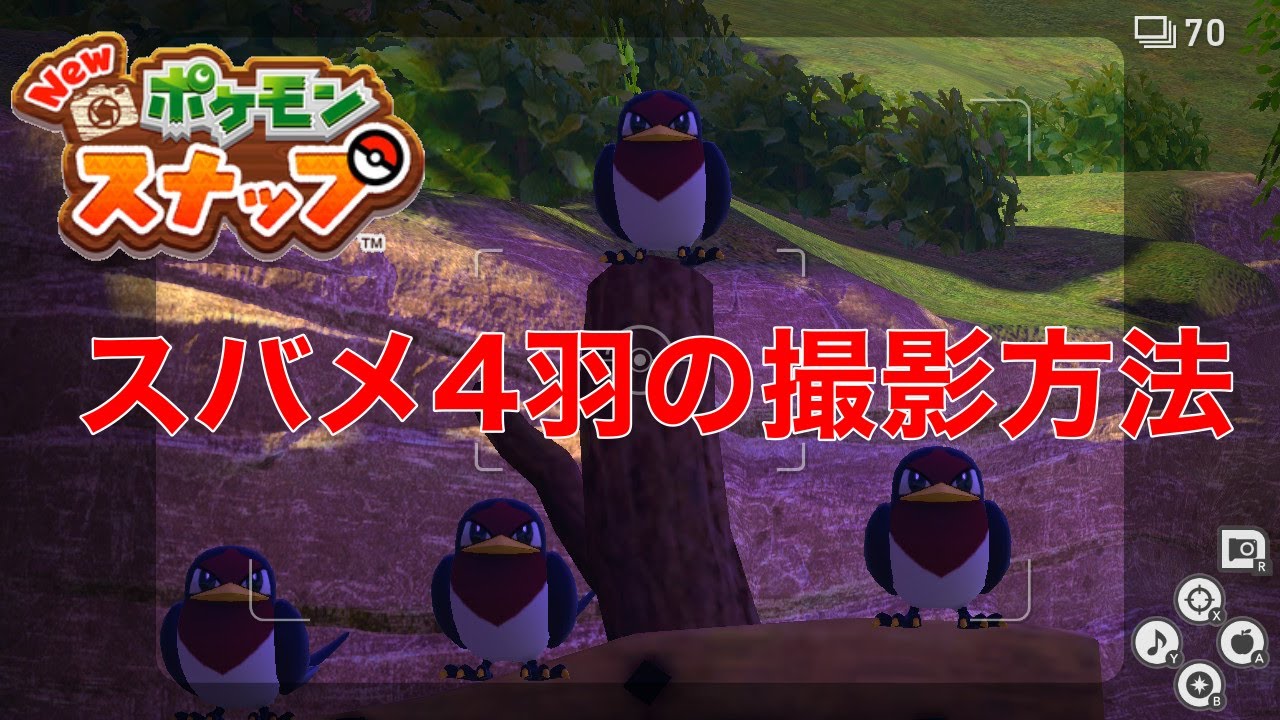 【Newポケモンスナップ】スバメ4匹を看板に止まらせる方法