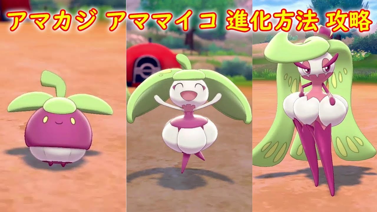 【アマカジ → アママイコ → アマージョ】入手場所 進化方法 攻略【ポケモン ソード シールド ポケモン剣盾】