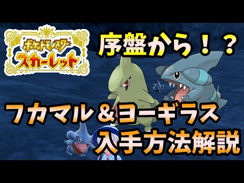 【ポケモンSV】まさかの序盤からフカマル＆ヨーギラスが入手できるんだがｗ 入手場所ややり方など解説します！【ポケットモンスタースカーレット・バイオレット】