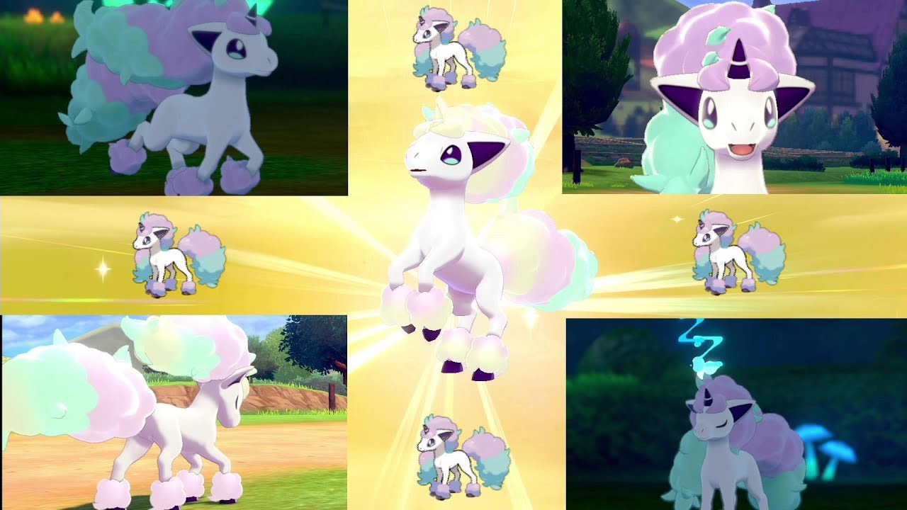 【ぐうポケ】ガラルポニータのかわいさをギュッと詰め込みました！！【ポケモン剣盾】