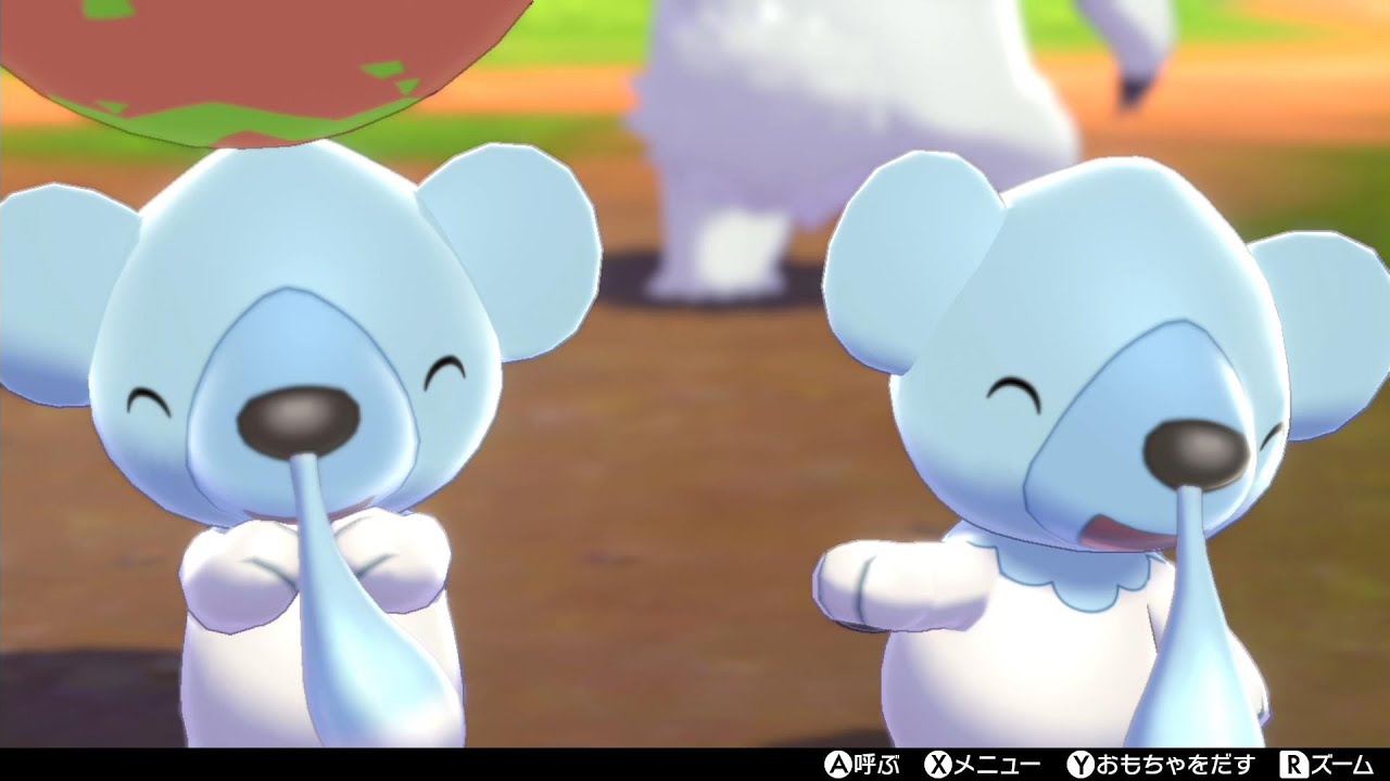 クマシュン・ツンベアーとポケモンキャンプで戯れます【ポケモン剣盾】