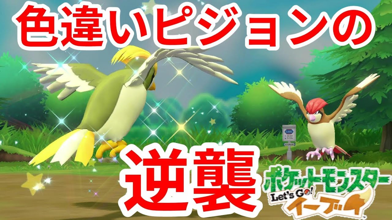 色違いピジョンの挑戦！秘儀？空を飛ぶ！【ポケモンLet'sGO！イーブイ】
