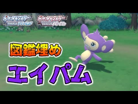 【図鑑埋め】エイパム持ちトレーナーの紹介【ポケモンBDSP/ダイパリメイク】