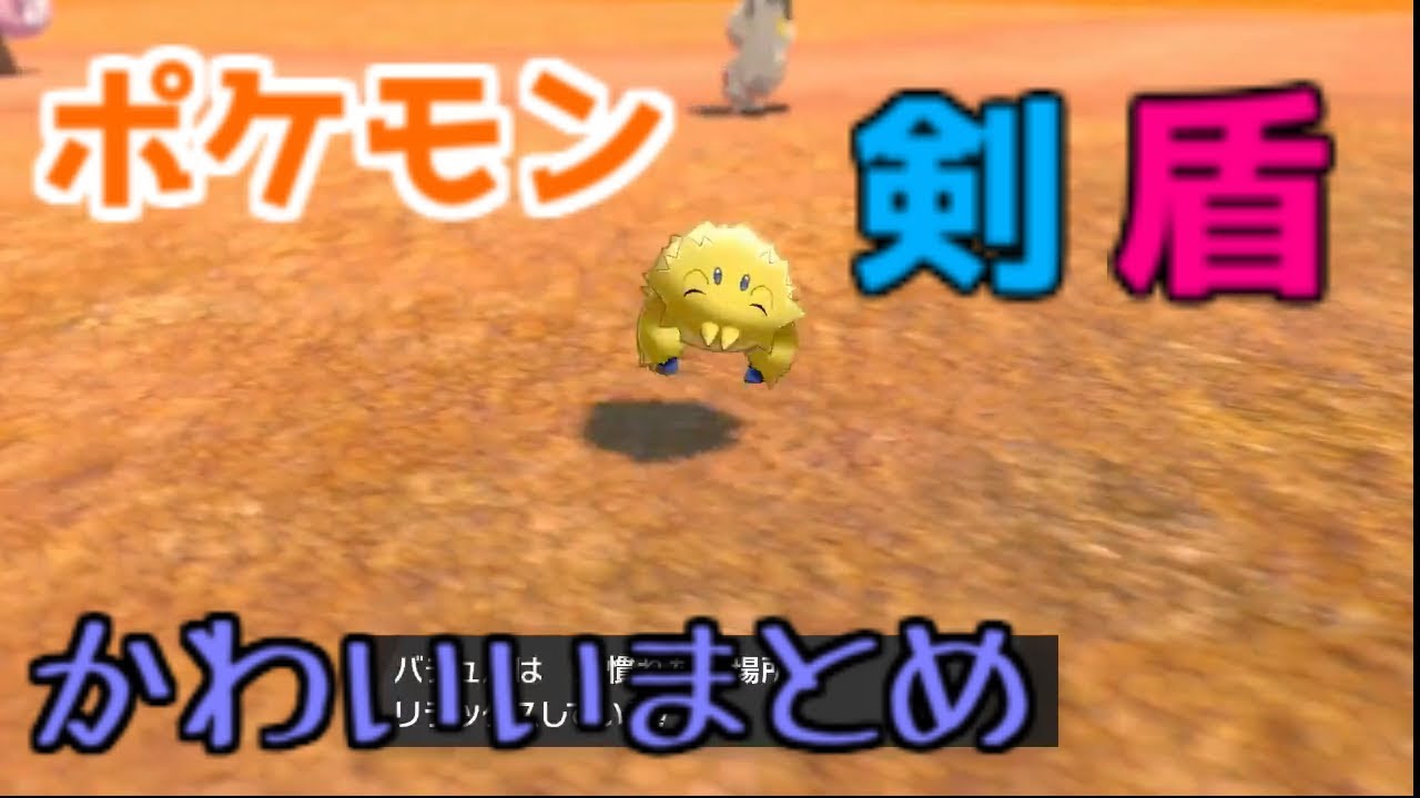 【Pokémon】ポケットモンスターソード・シールド　かわいい動画まとめ