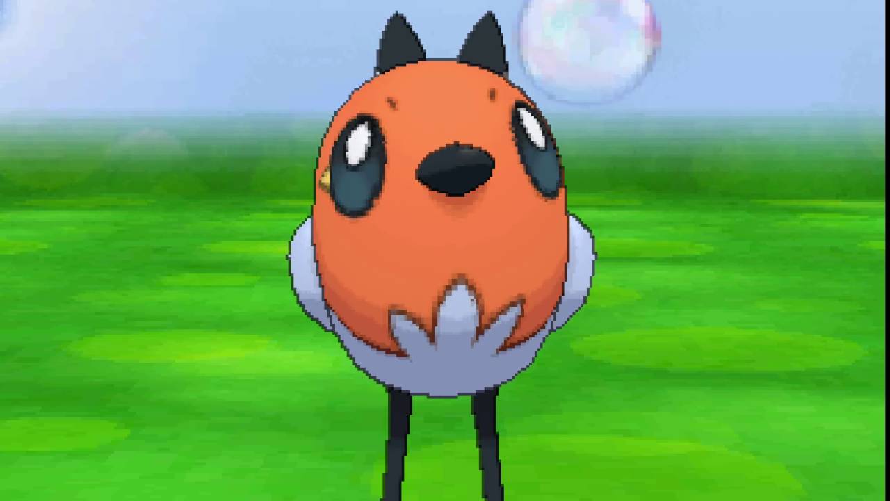 ポケパルレ　ヤヤコマと戯れるだけの動画