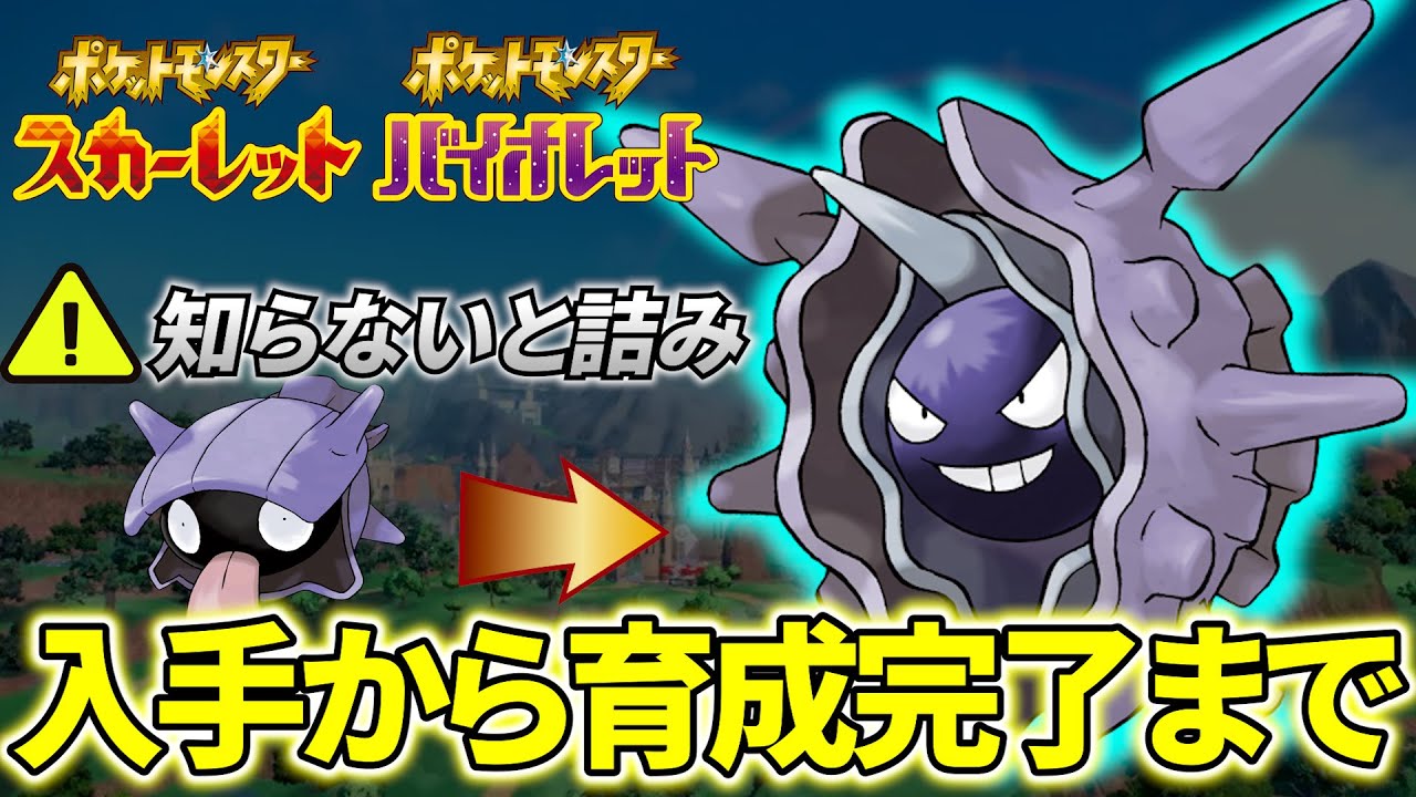 【パルシェン 育成論 ポケモンsv】○○を知らないだけで詰みます。最強パルシェンの育成論と育成方法！(ポケモンスカーレットバイオレット)