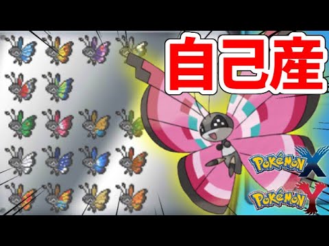 【ポケモンXY】海外2DS買って自力でビビヨン全種集めたった