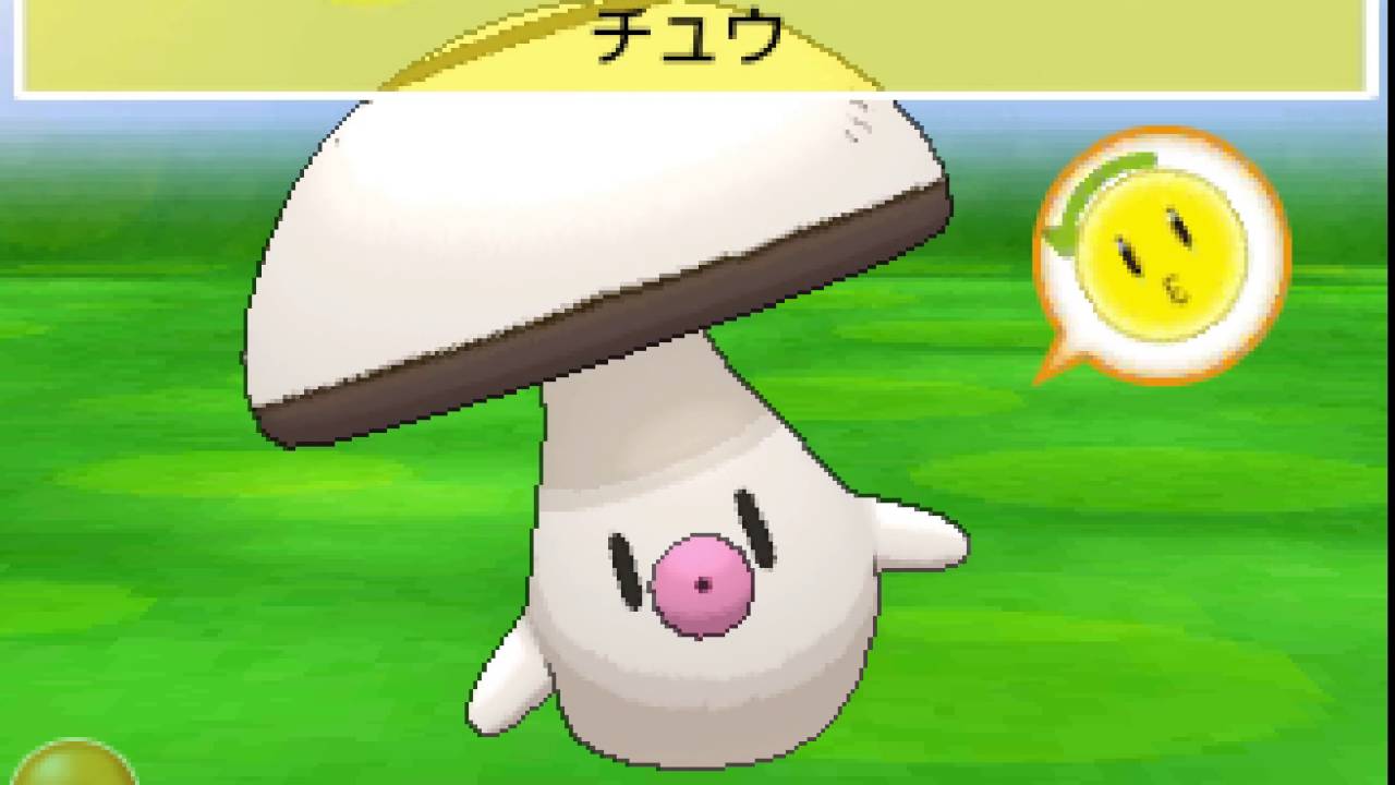 ポケパルレ　タマゲタケと戯れるだけの動画