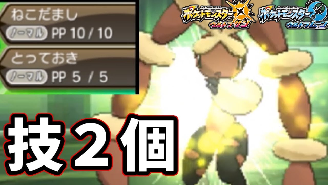 【ポケモンＵＳＭ】＂技が2個"だけなのにメチャ強い！？耐久調整を破壊するとっておき型ミミロップ