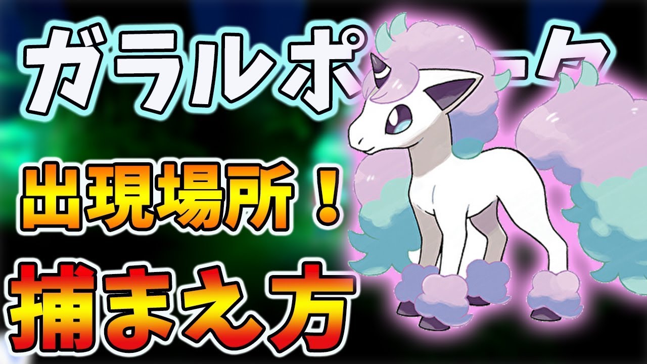【ポケモンシールド】限定ポケモン！ガラルポニータの出現場所を紹介します！