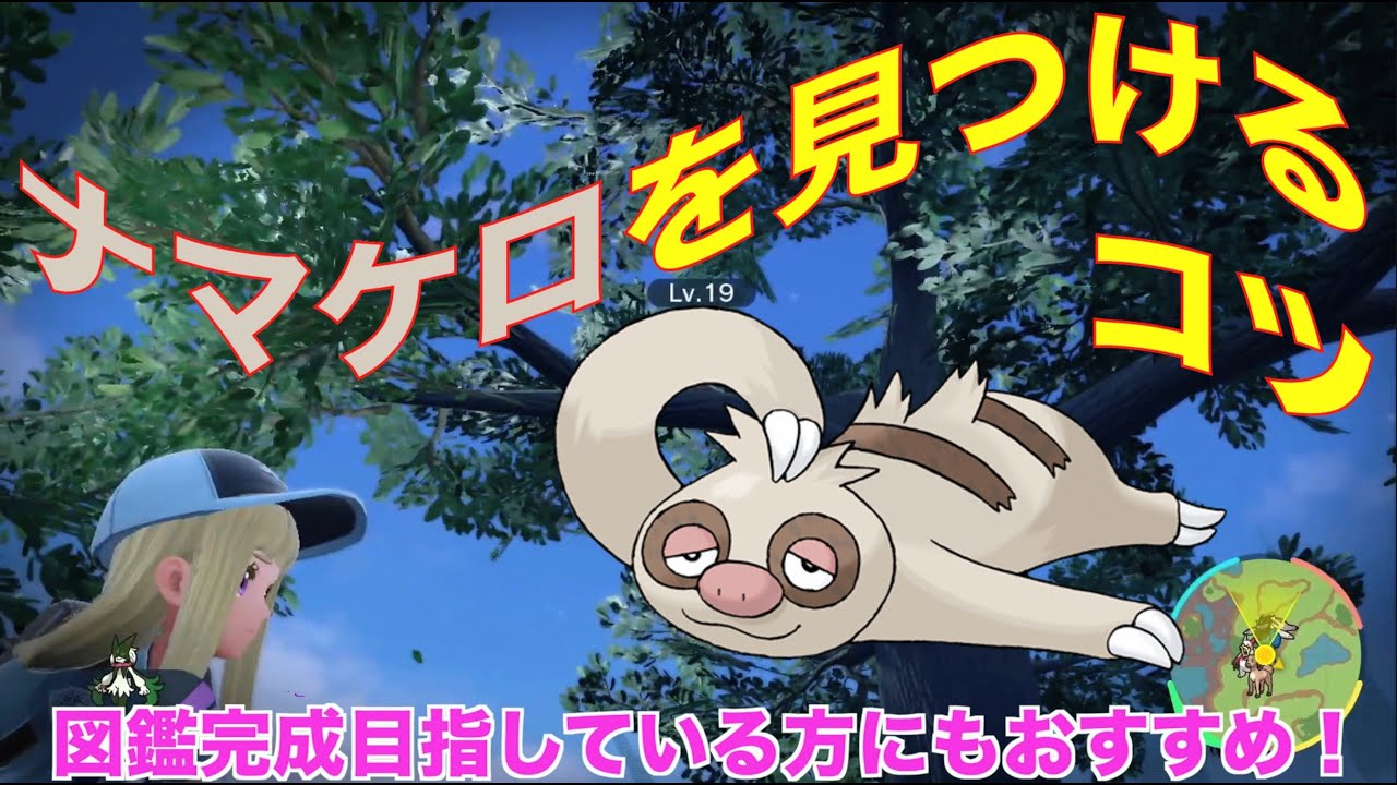 【30分で４匹】卵じゃなくて野生でしょ！私のナマケロGET方法紹介！！