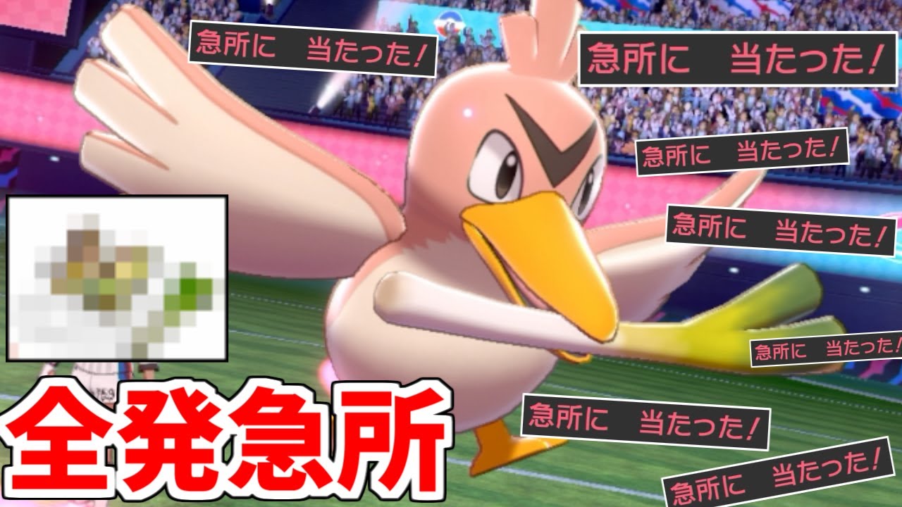 ある物を持つだけで"100%急所"になる「原種カモネギ」がマジで強すぎるｗｗｗ【ポケモン剣盾】