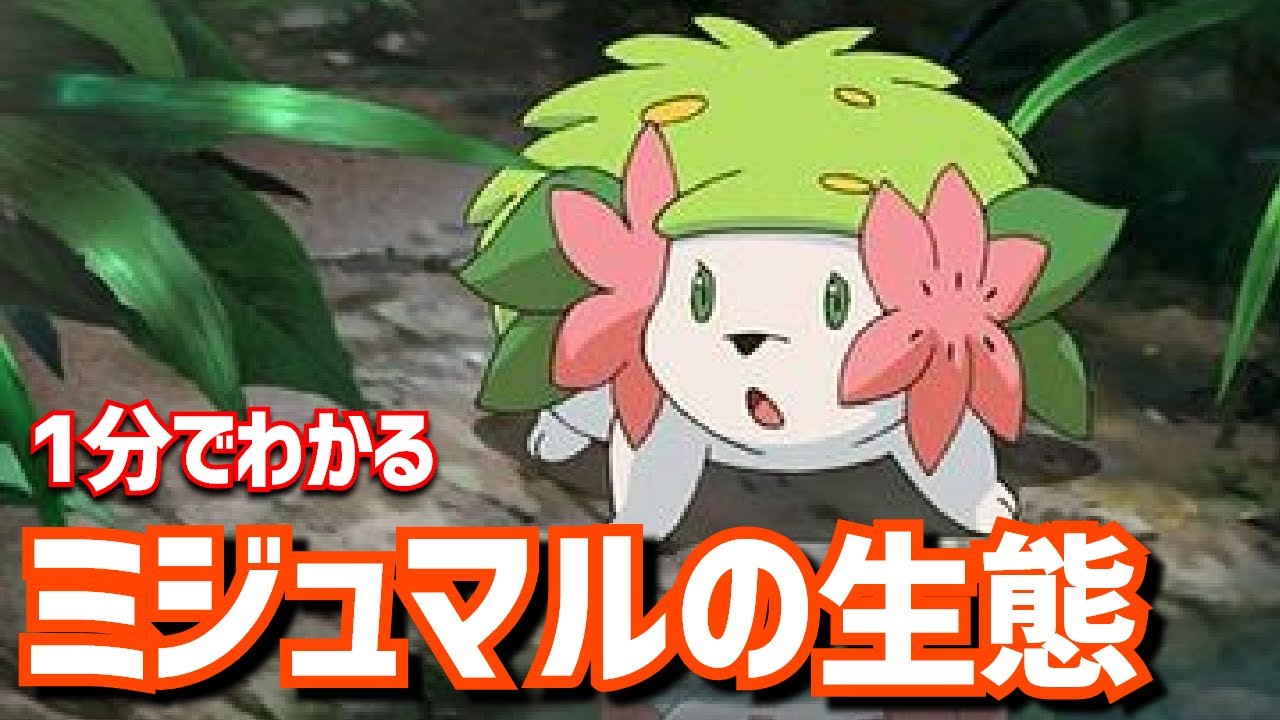 【アルセウス】1分でわかるシェイミの生態｜ポケモンレジェンズアルセウス、ポケモンgo #Shorts