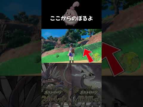 序盤でピンプクをゲットした場所【ポケモンSV】