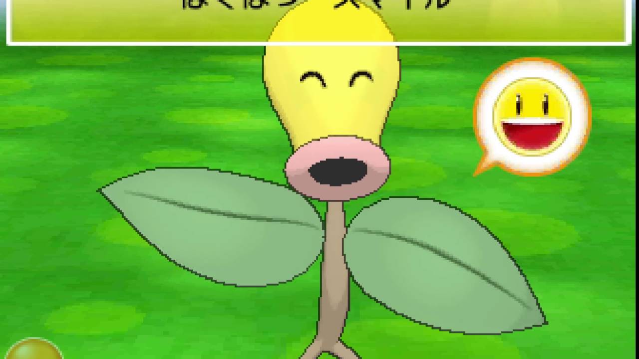 ポケパルレ　マダツボミと戯れるだけの動画