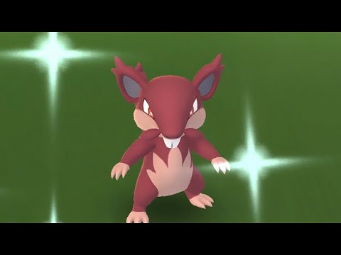 【ポケモンGO】色違いコラッタ（アローラのすがた）ゲットした瞬間！ #shorts