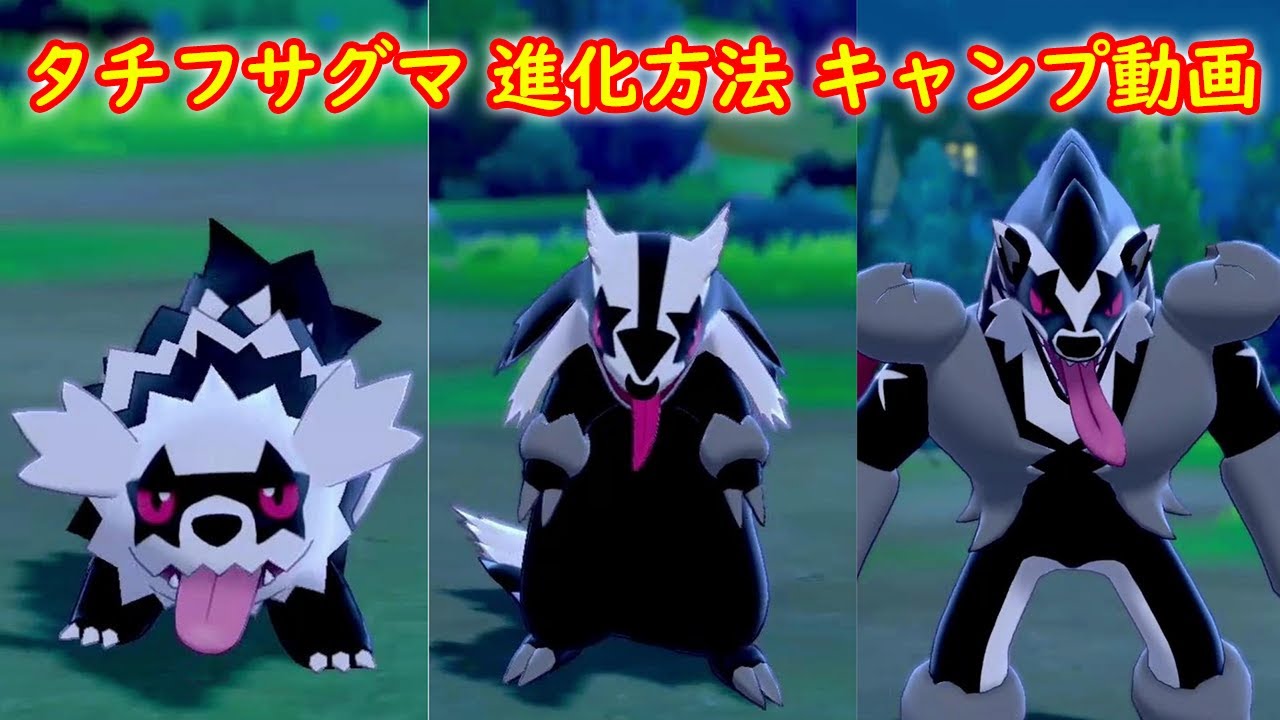 【ガラルジグザグマ → マッスグマ → タチフサグマ】進化方法 攻略 + キャンプで遊ぶ【ポケモン ソード シールド ポケモン剣盾】