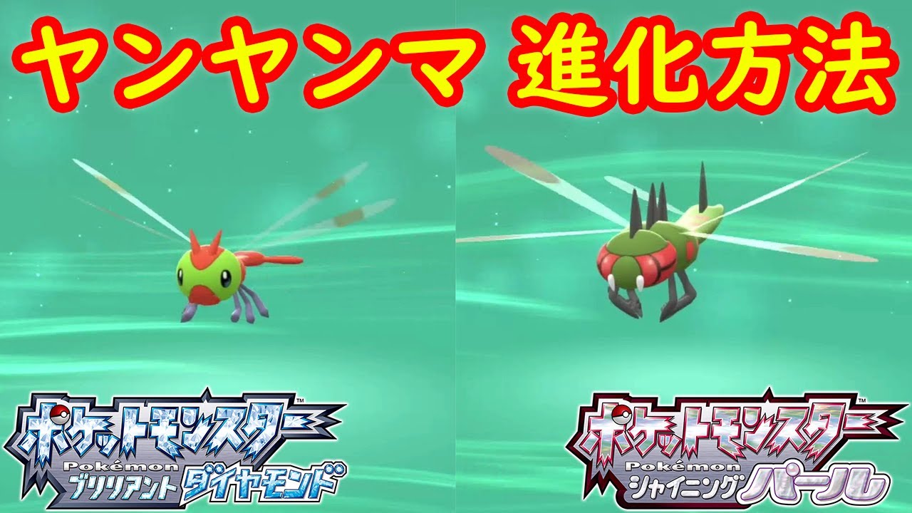 【ヤンヤンマ → メガヤンマ】特殊進化方法 攻略  【ポケモン ダイパリメイク ポケモン ブリリアントダイヤモンド・シャイニングパール】