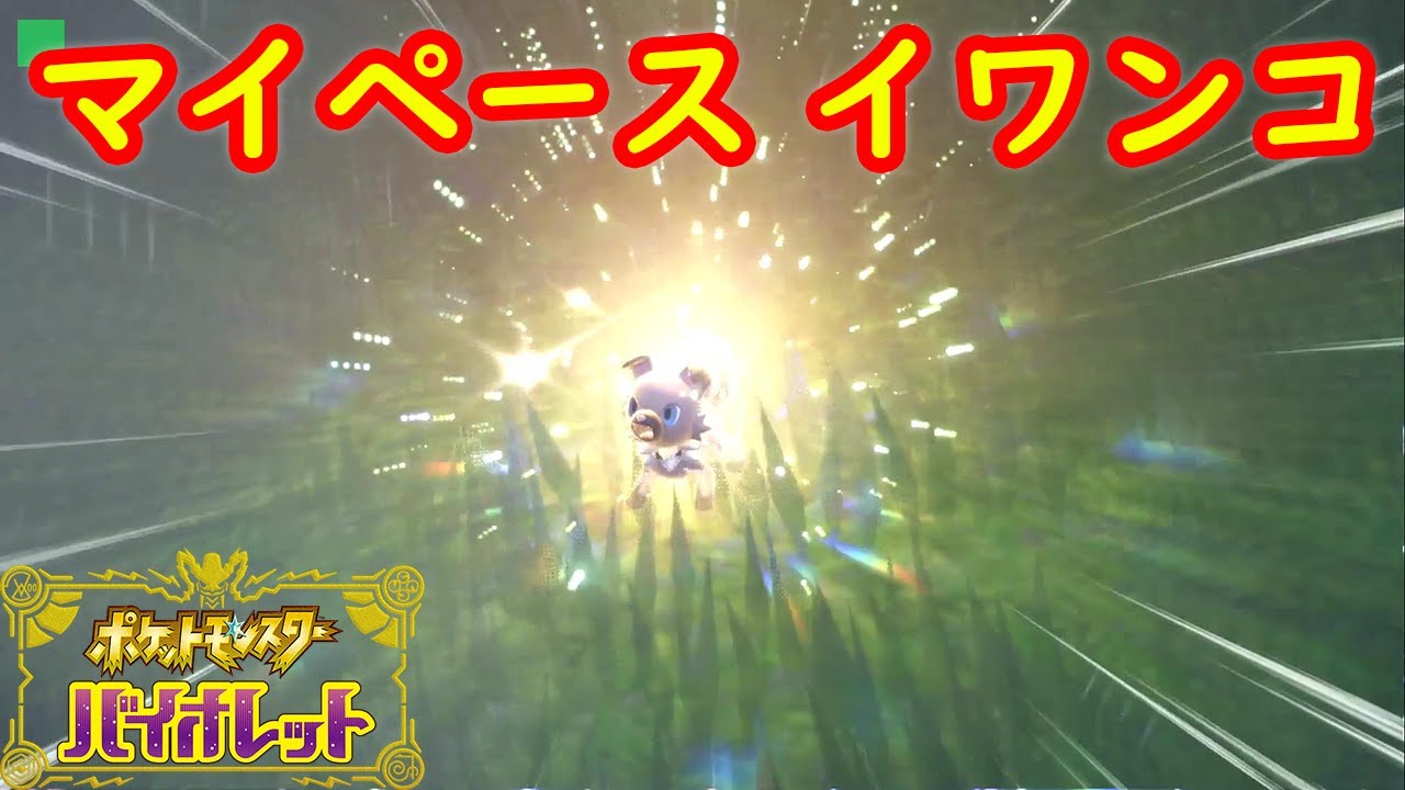 【マイペース テラスタル イワンコ】出現場所 入手方法 攻略【ポケモン スカーレット・バイオレット】