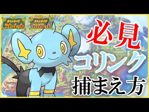 『コリンクの捕まえ方』 いくぞ!!パルデア地方!! 【ポケモンSV】【コリンク】