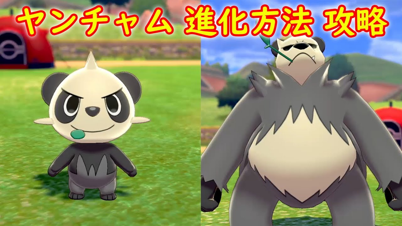 【ヤンチャム】進化方法 攻略【ポケモン ソード シールド ポケモン剣盾】