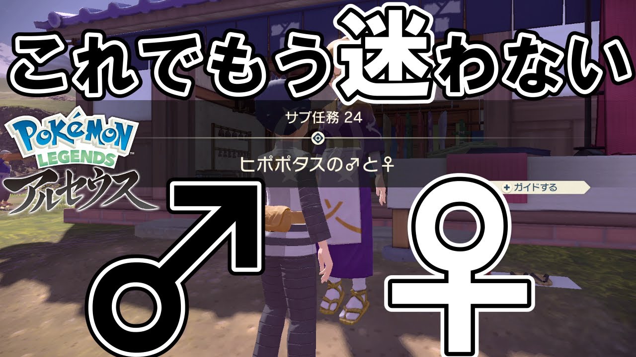 【サブ任務24】『ヒポポタスの♂と♀（オスとメス）』攻略【ポケモンレジェンズアルセウス】