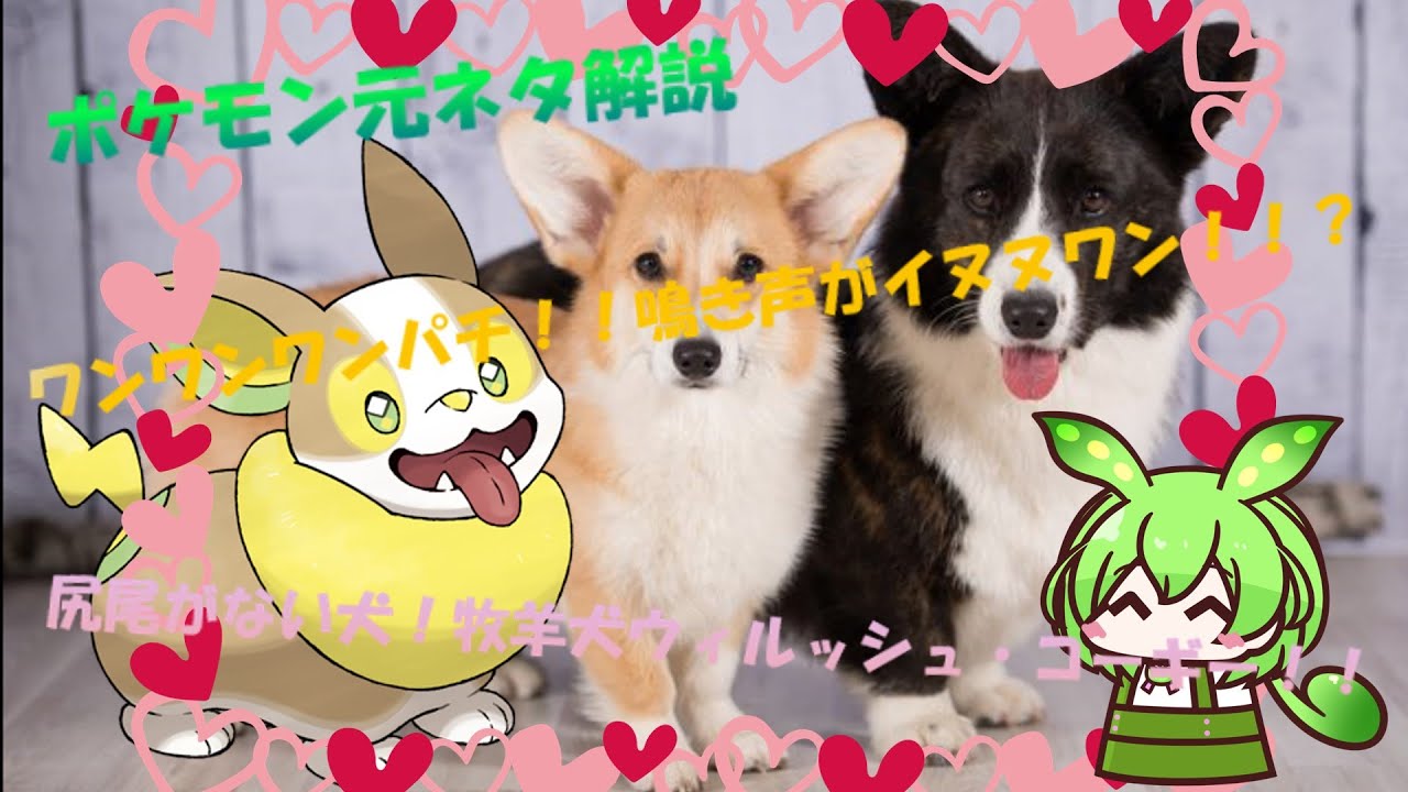 【VOICEVOX解説】ずんだもんのポケモン元ネタ解説　ワンパチ【ウィルッシュコーギー解説】