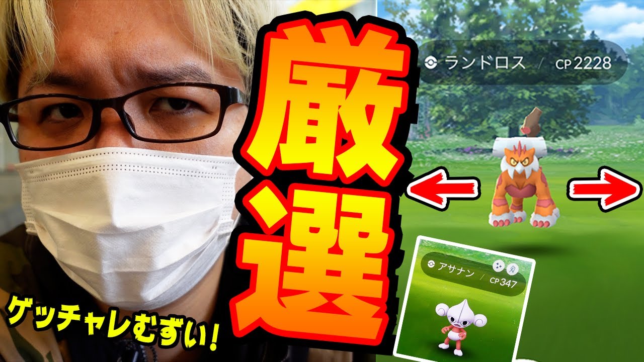 強いぞランドロスれいじゅうフォルム!!100%目指して厳選してたら、引き強発動!!!【ポケモンGO】