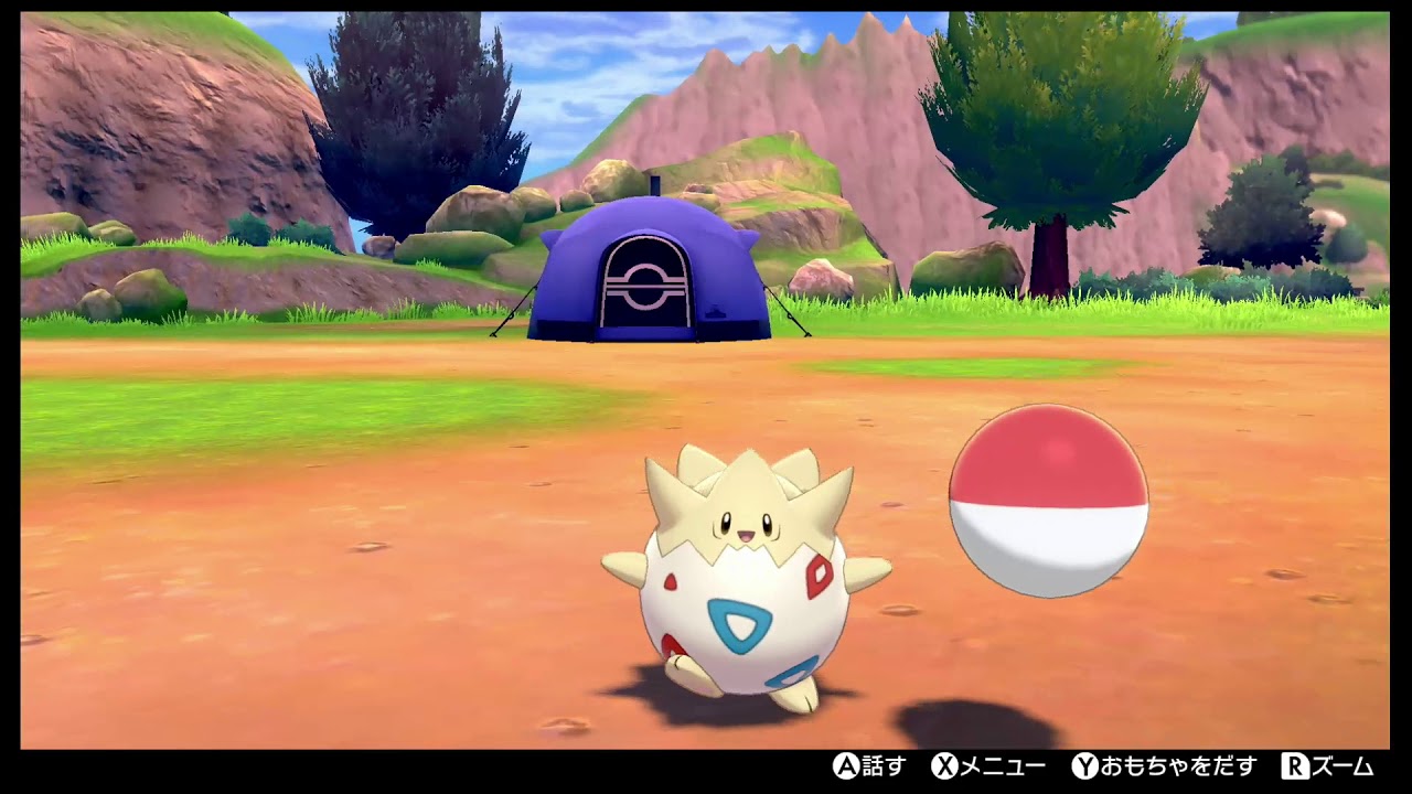 【ポケモン剣盾】トゲピーがめちゃかわいい【ソードシールド】