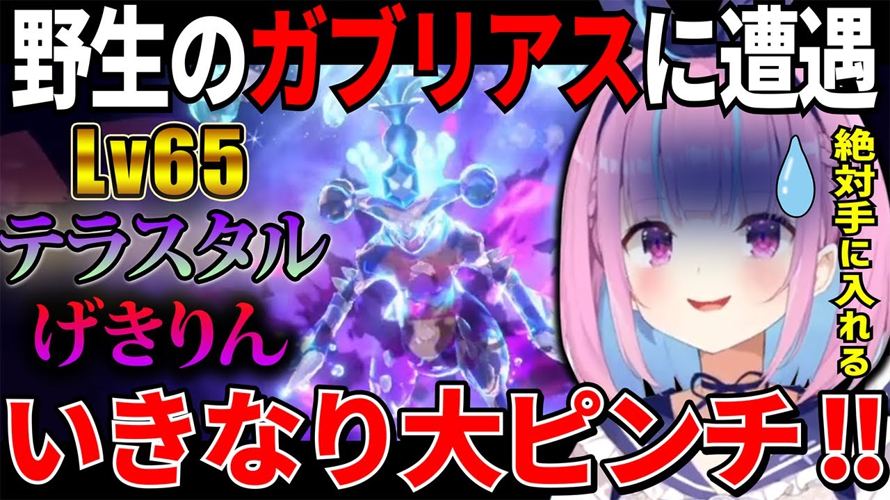 【ポケモンSV】念願の野生のガブリアスに遭遇して意地でもゲットするため全力で挑むが初手に【げきりん】をくらい大ピンチに追い込まれるあくたん【ホロライブ切り抜き 湊あくあ】