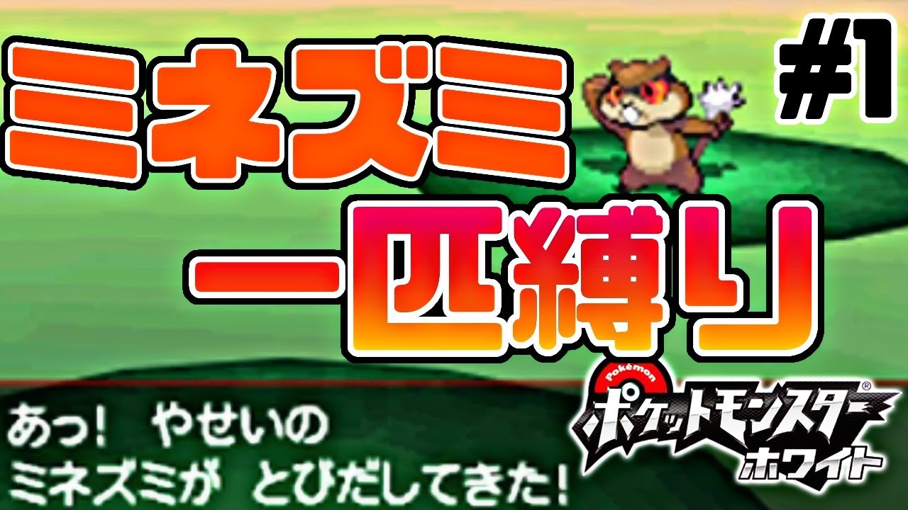 ミネズミ一匹で全クリするポケモンBW【ポケモンホワイト実況】PART1