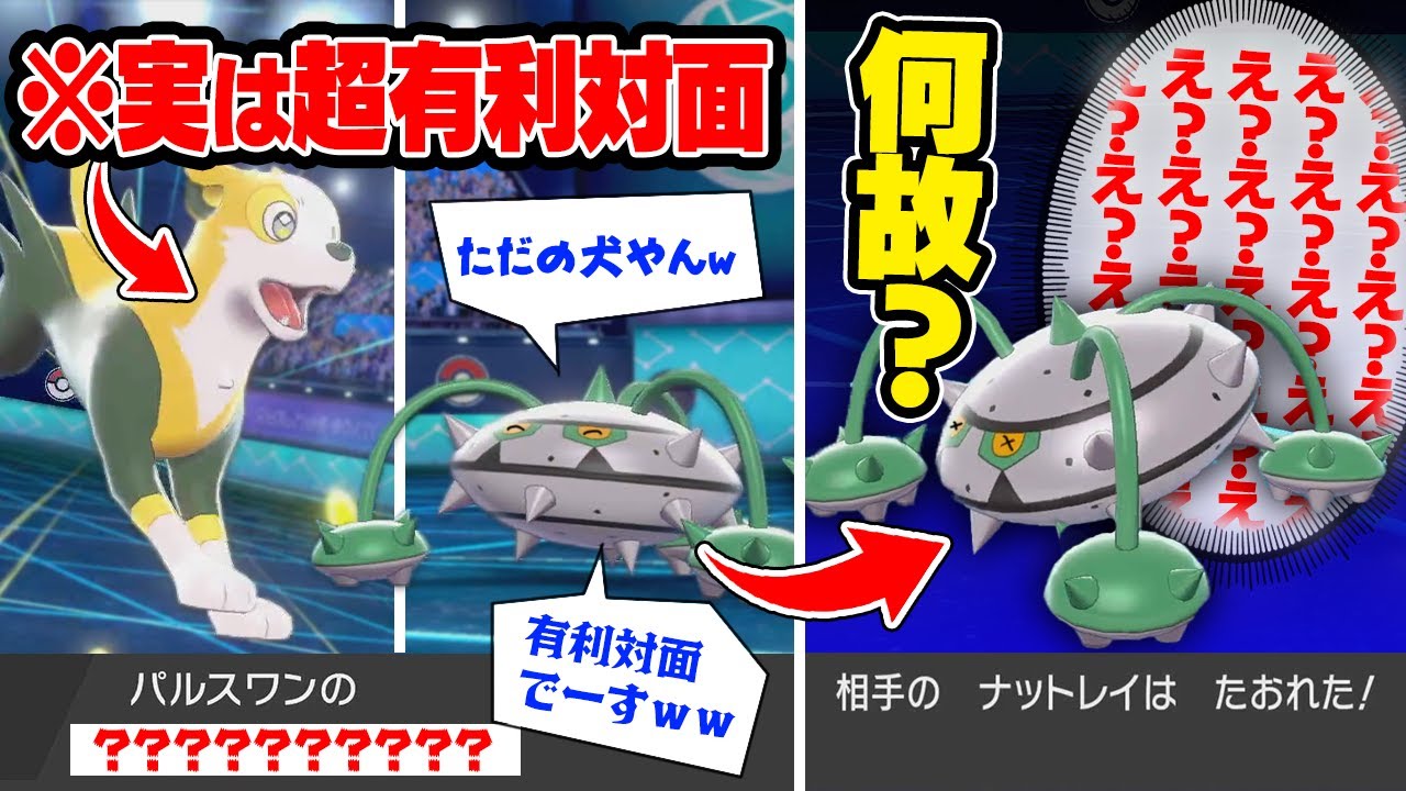 【抽選パ】黄色い閃光のパルスワンさん、マイナーすぎてやりたい放題で勝利してしまうwww #11-2【ポケモン剣盾/ポケモンソードシールド】