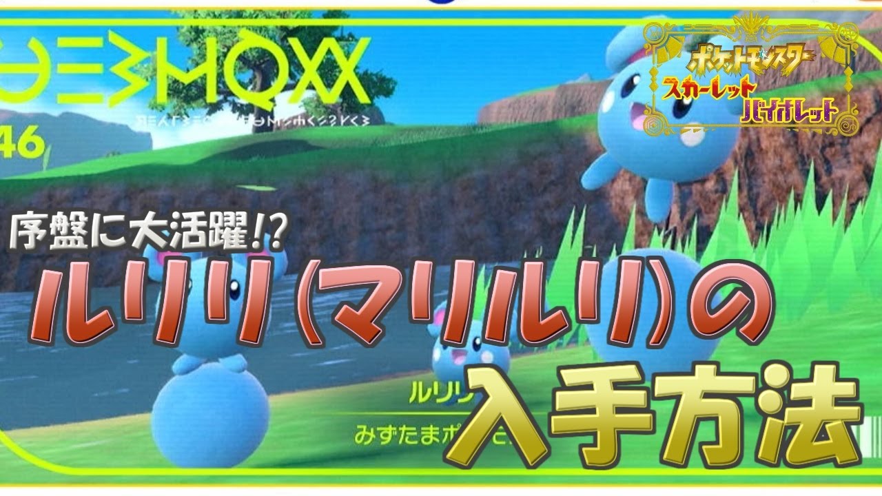 【ポケモンＳＶ】マリルリの入手方法！！　旅パのおすすめポケモン・ルリリ、マリル