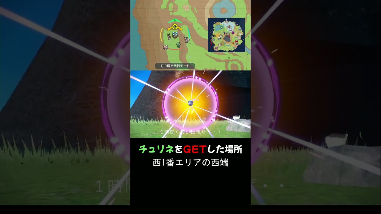 チュリネをGETした場所！なかなか出ず....。【ポケモンSV】