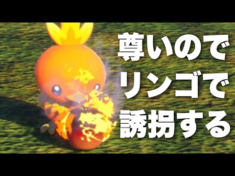 【餌付け実況】アチャモをリンゴで誘拐するアナウンサー【Newポケモンスナップ】