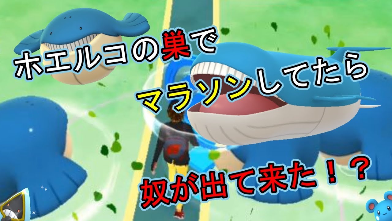 【ポケモンGO】ホエルコの巣でマラソンしていたら奴が出て来た！？【第3世代】