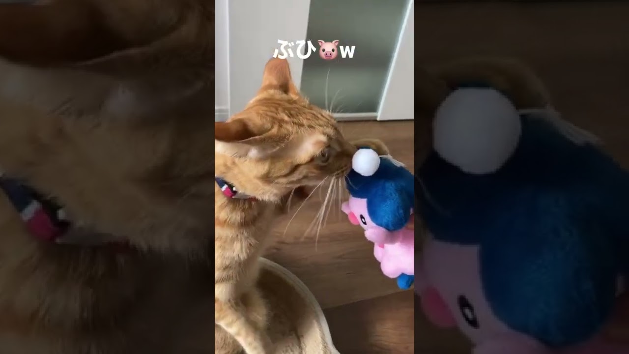 はじめまして！マネネ！