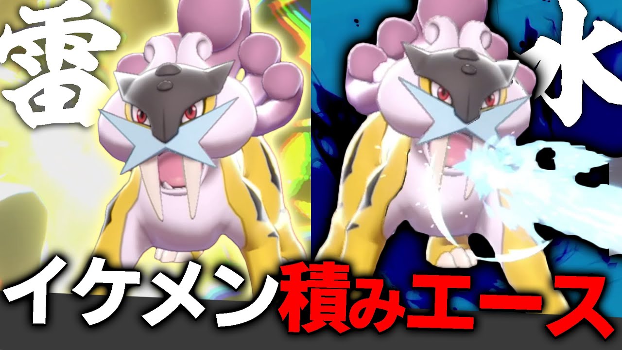見た目良し！性能良し！文句無しエース『ライコウ』の圧倒的"詰ませ"性能‼️【ポケモン剣盾】