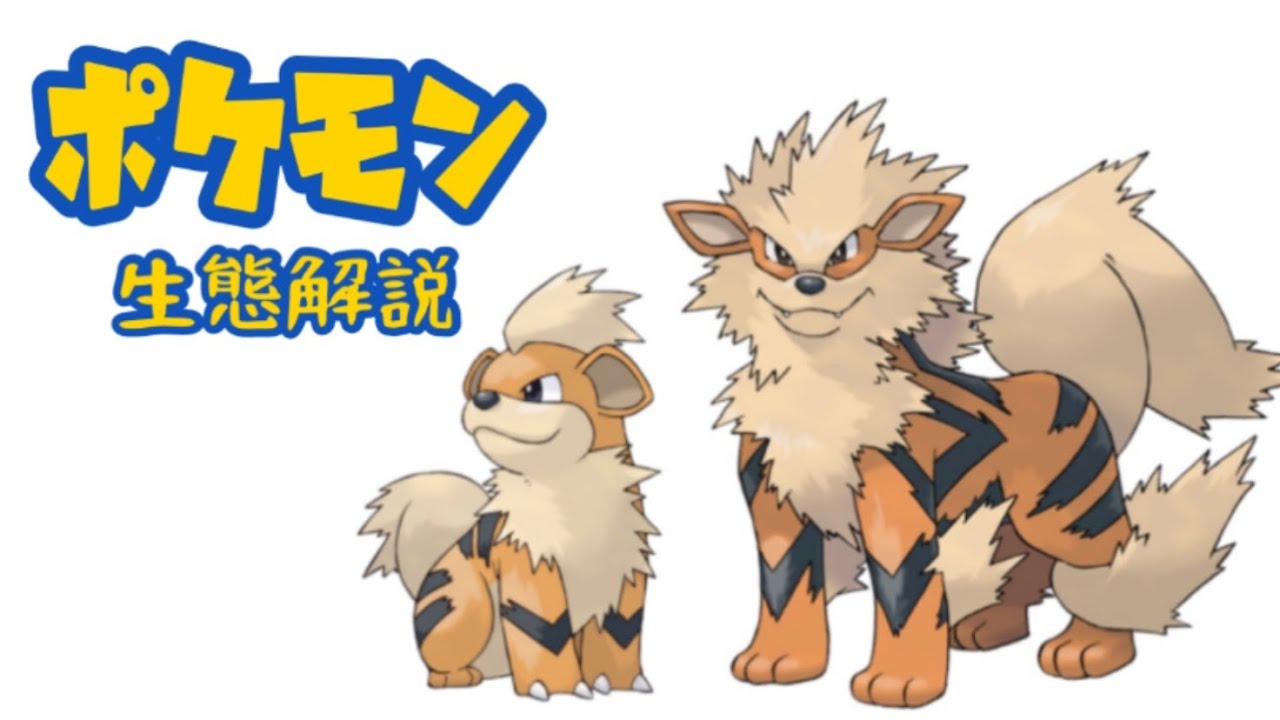 【ポケモン解説】「ガーディ」「ウインディ」の生態・小ネタ・鳴き声について！