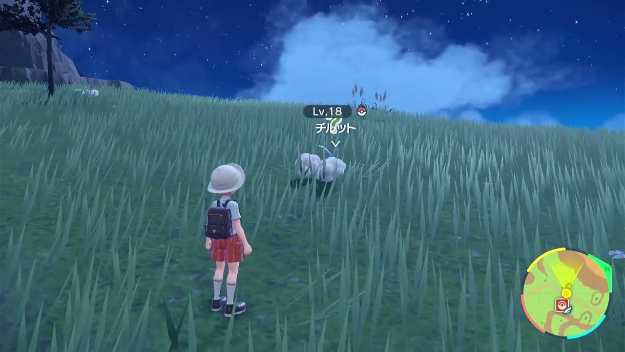 【ポケモンSV】チルットの出現場所・行き方【スカーレットバイオレット】