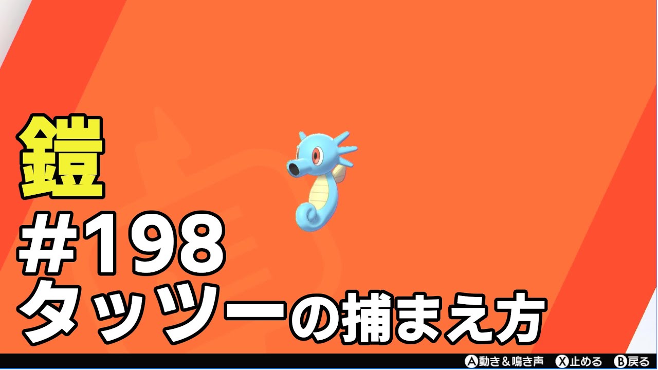 タッツーを探している方に見てほしい動画