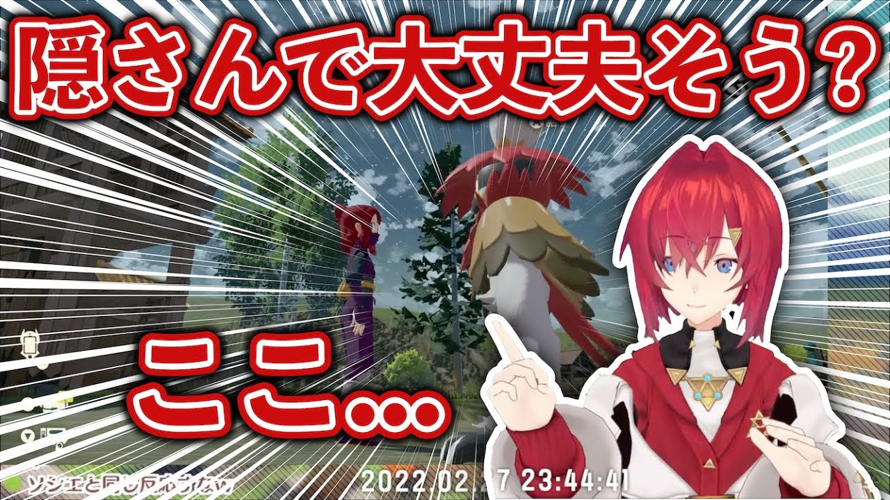 【まとめ】モクローの進化を初めて見るアンジュ