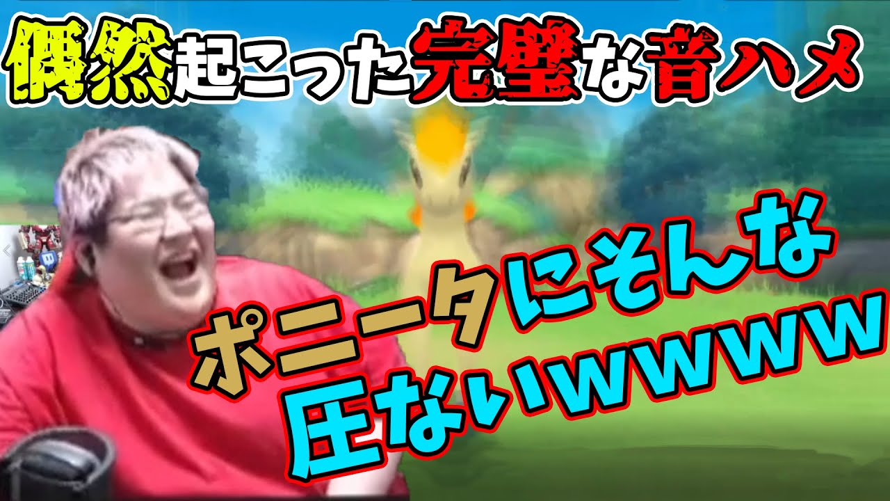 【奇跡】偶然起こったポニータの音ハメシーン(2021/11/26)
