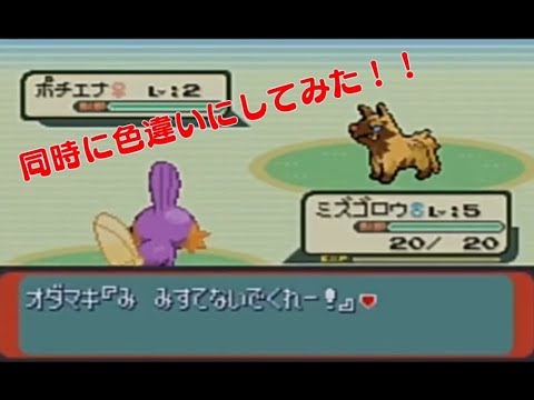 【ルビーサファイア】ホウエン御三家とポチエナを同時に色違いにしてみた【乱数調整】