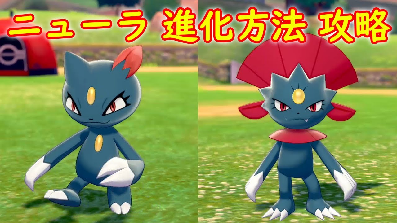 【ニューラ】マニューラへの進化方法 攻略【ポケモン ソード シールド ポケモン剣盾】