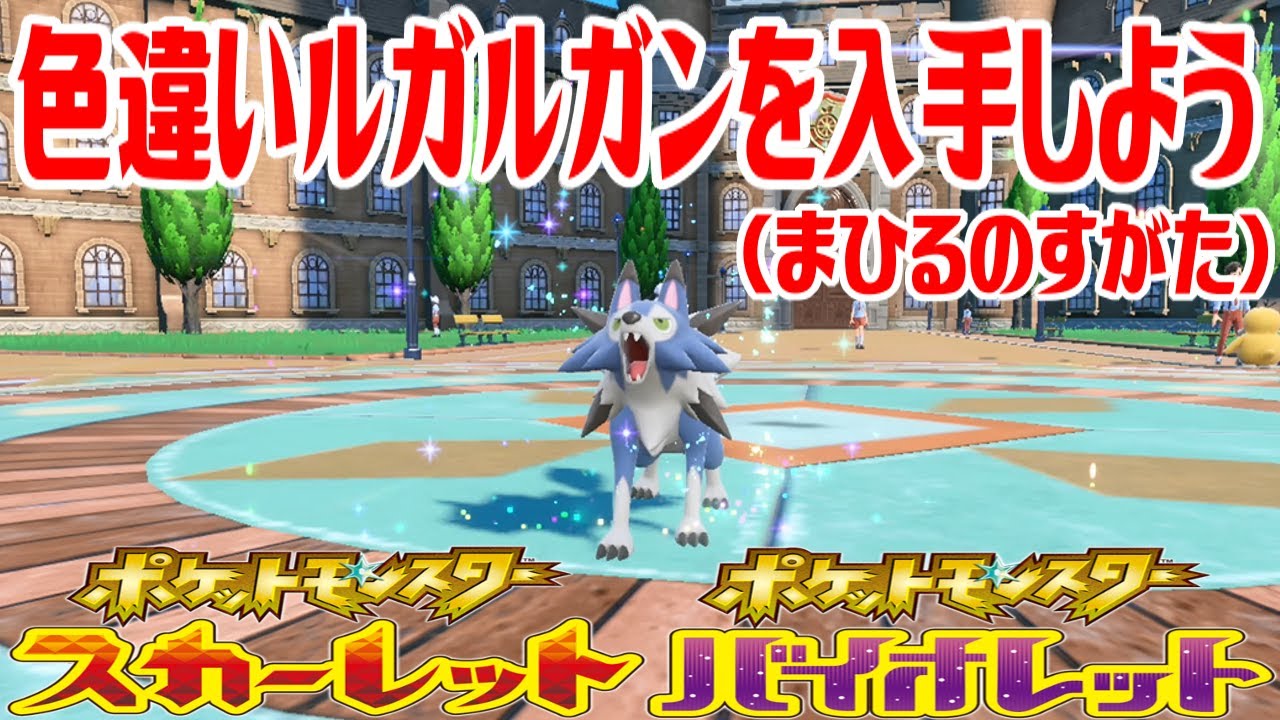 【ポケモンSV】色違いルガルガン(まひるのすがた)を入手しよう 進化入手【ポケットモンスター スカーレット・バイオレット】Pocket Monsters