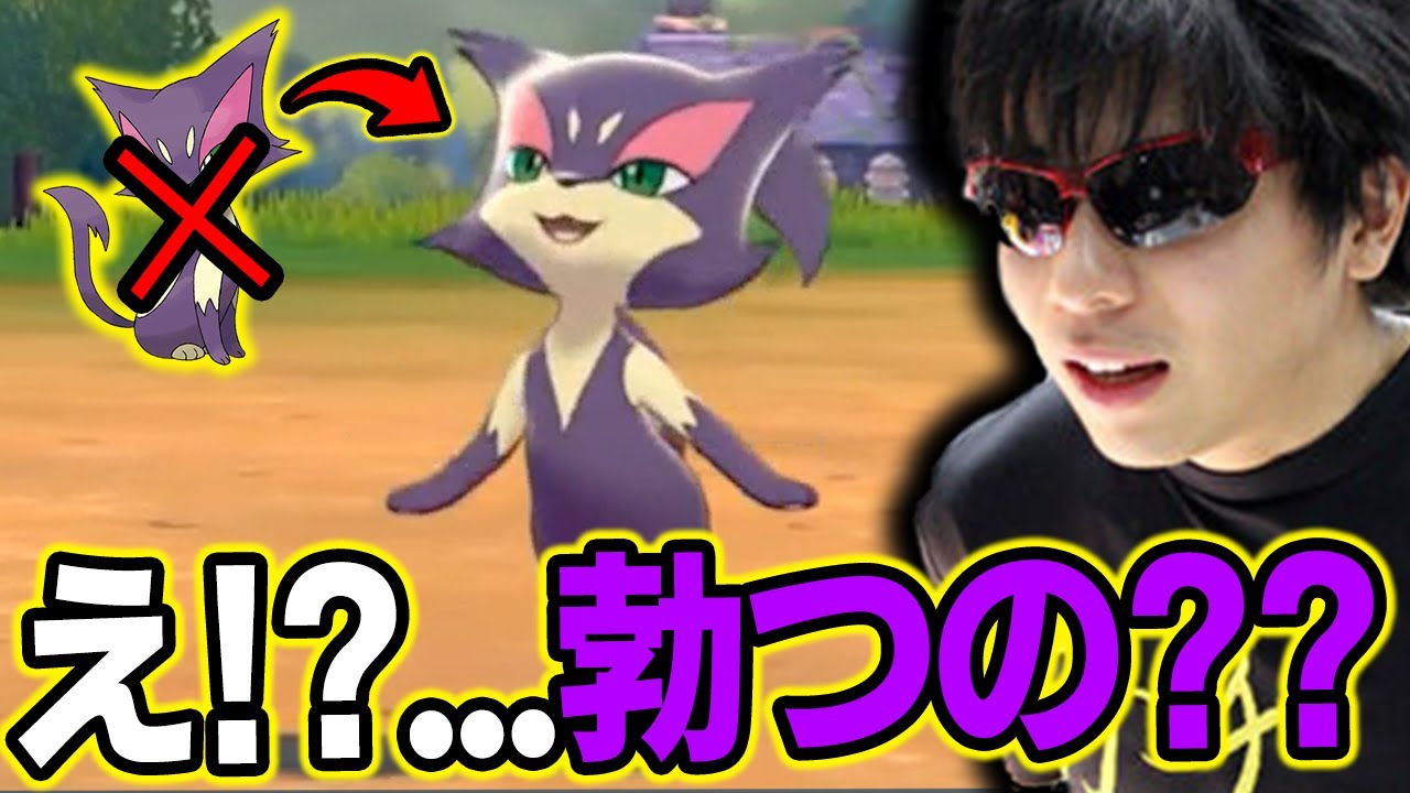 【剣盾】そんな設定あった...!?2本足で立つ「チョロネコ」に困惑する漢と視聴者ｗｗｗ【もこう ポケモン 切り抜き】