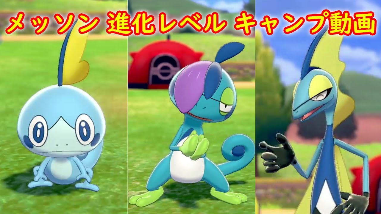 【メッソン → ジメレオン → インテレオン】進化レベル 攻略 + キャンプで遊ぶ【ポケモン ソード シールド ポケモン剣盾】